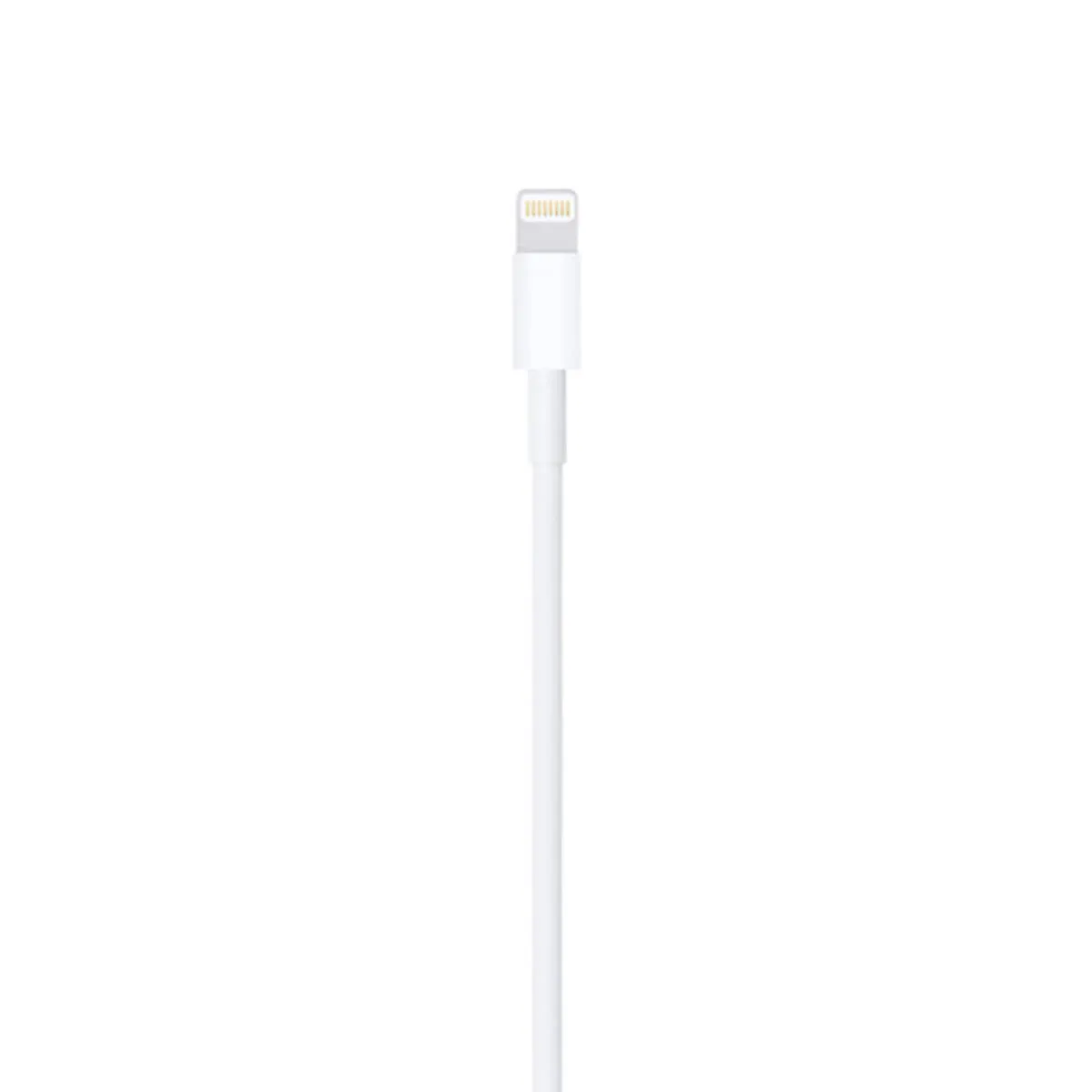 Apple Original Lightning to USB Cable (2M)