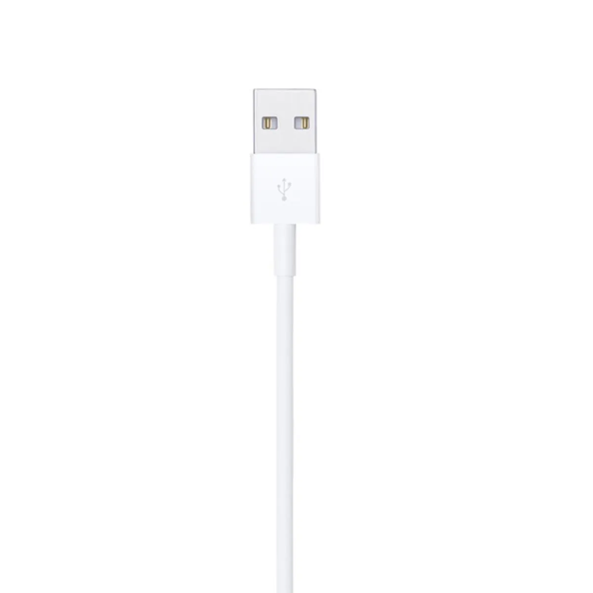Apple Original Lightning to USB Cable (2M)