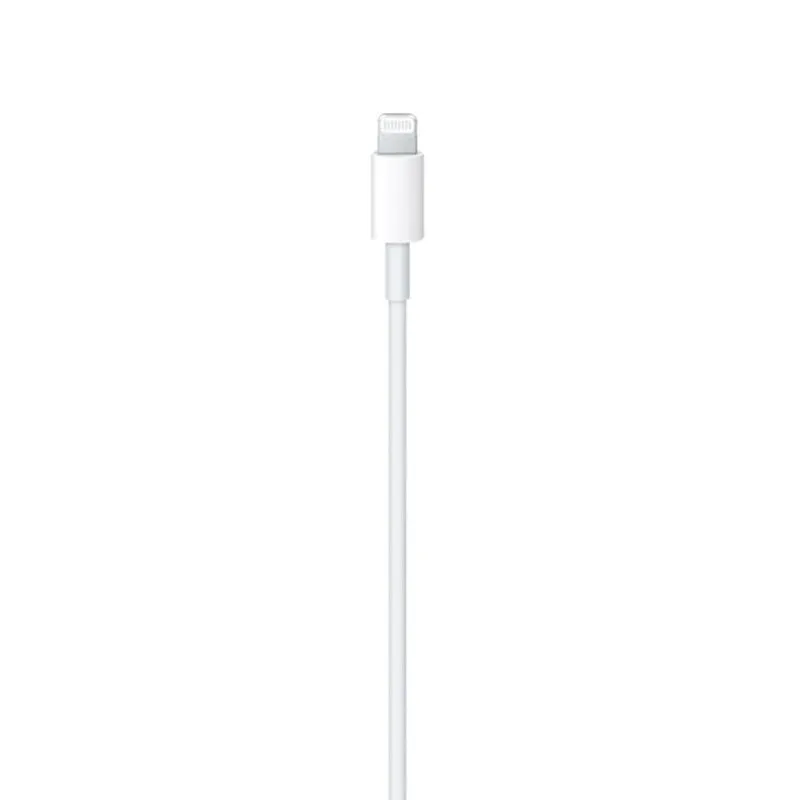 Apple Original USB-C to Lightning Cable (1M)