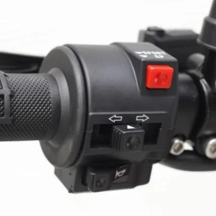 Light Bee L1E Eco/Sport Switch Light Indicators