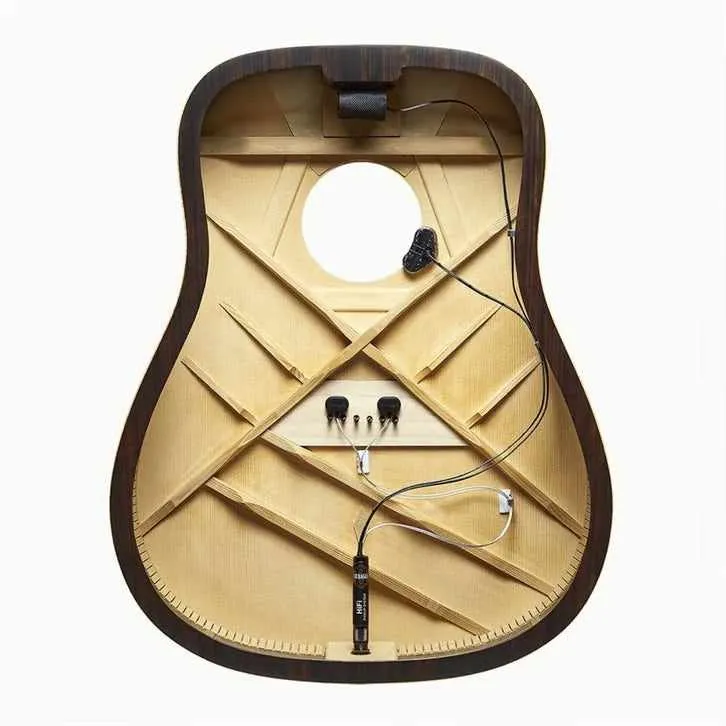 L.R Baggs  HiFi Pickup system.
