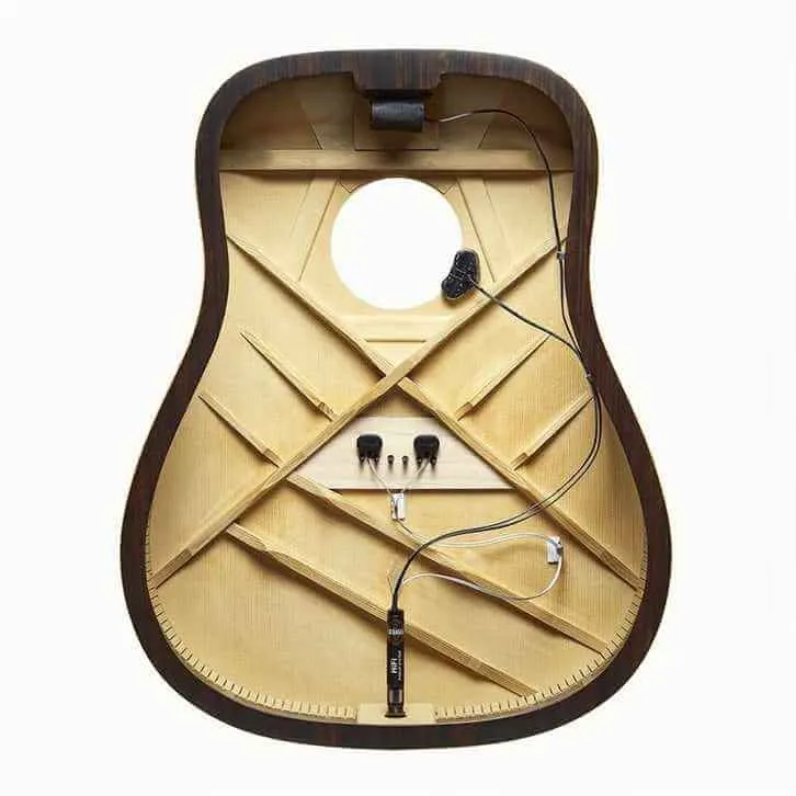 L.R Baggs  HiFi Pickup system.