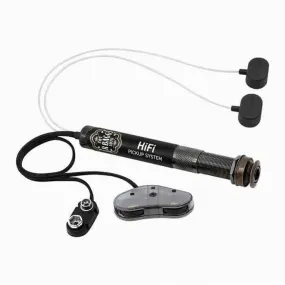 L.R Baggs  HiFi Pickup system.