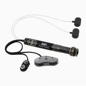 L.R Baggs  HiFi Pickup system.