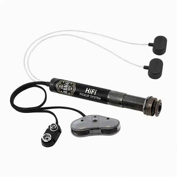 L.R Baggs  HiFi Pickup system.