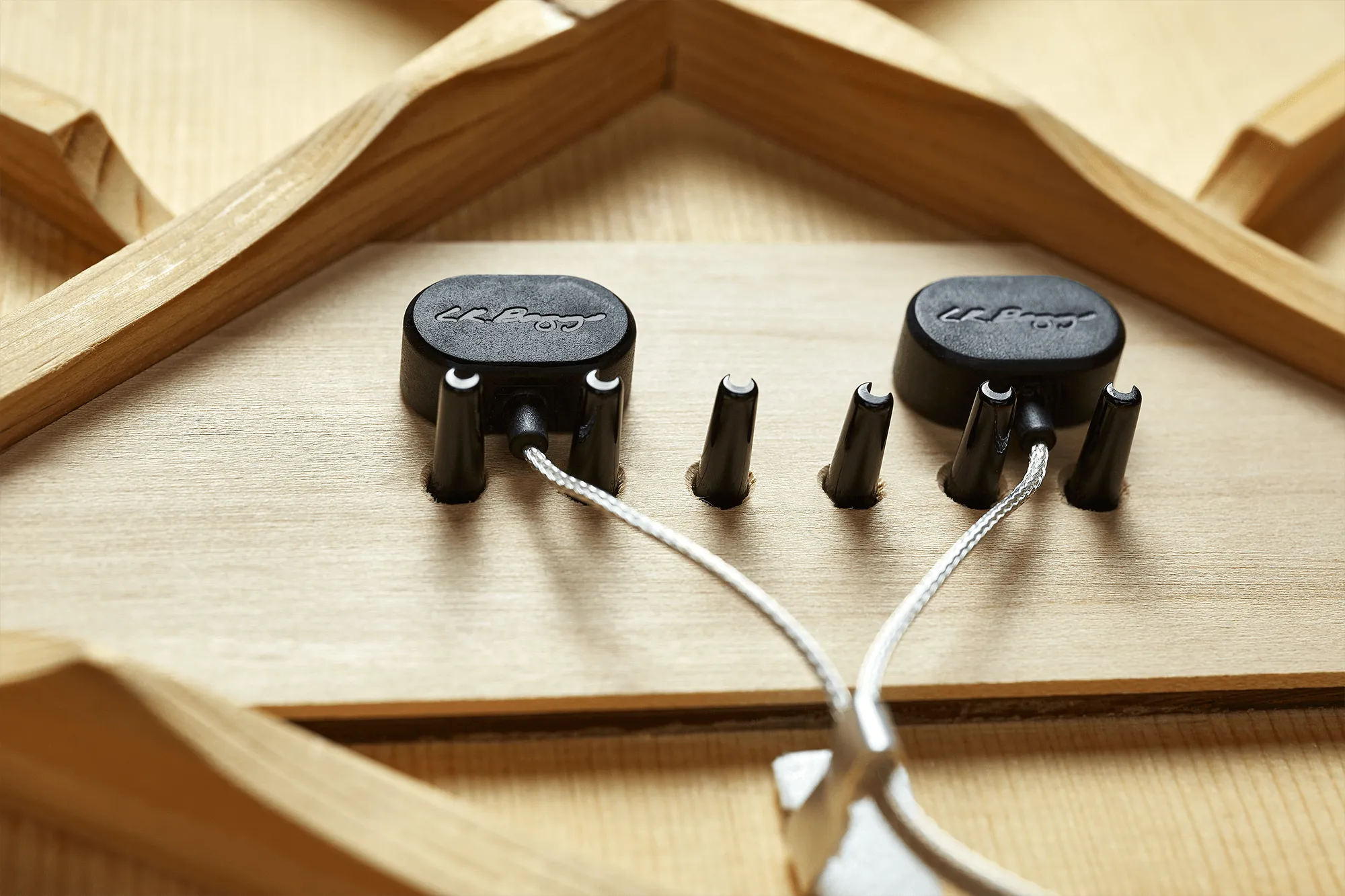 LR Baggs HiFi