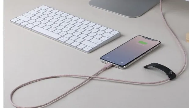Native Union Belt Cable Rose - Lightning