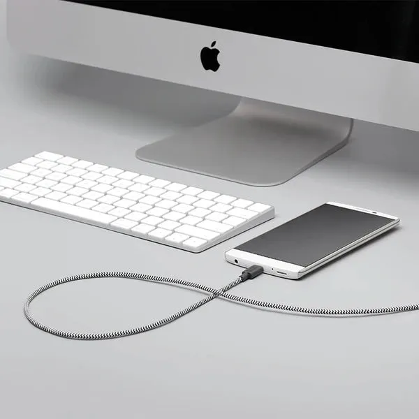 Native Union Belt Cable USB-C to USB-A - Zebra
