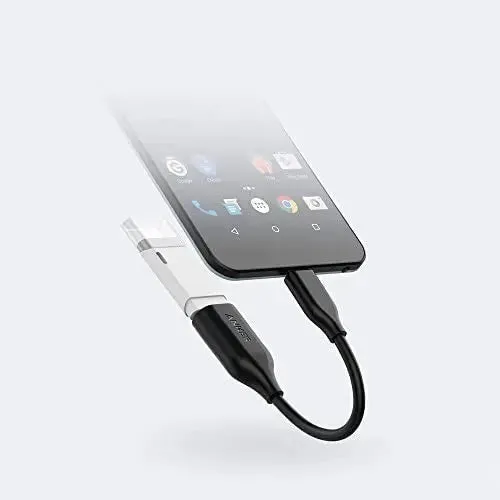 PowerLine USB-C to USB 3.1 Adapter 0.27ft/8cm A8165