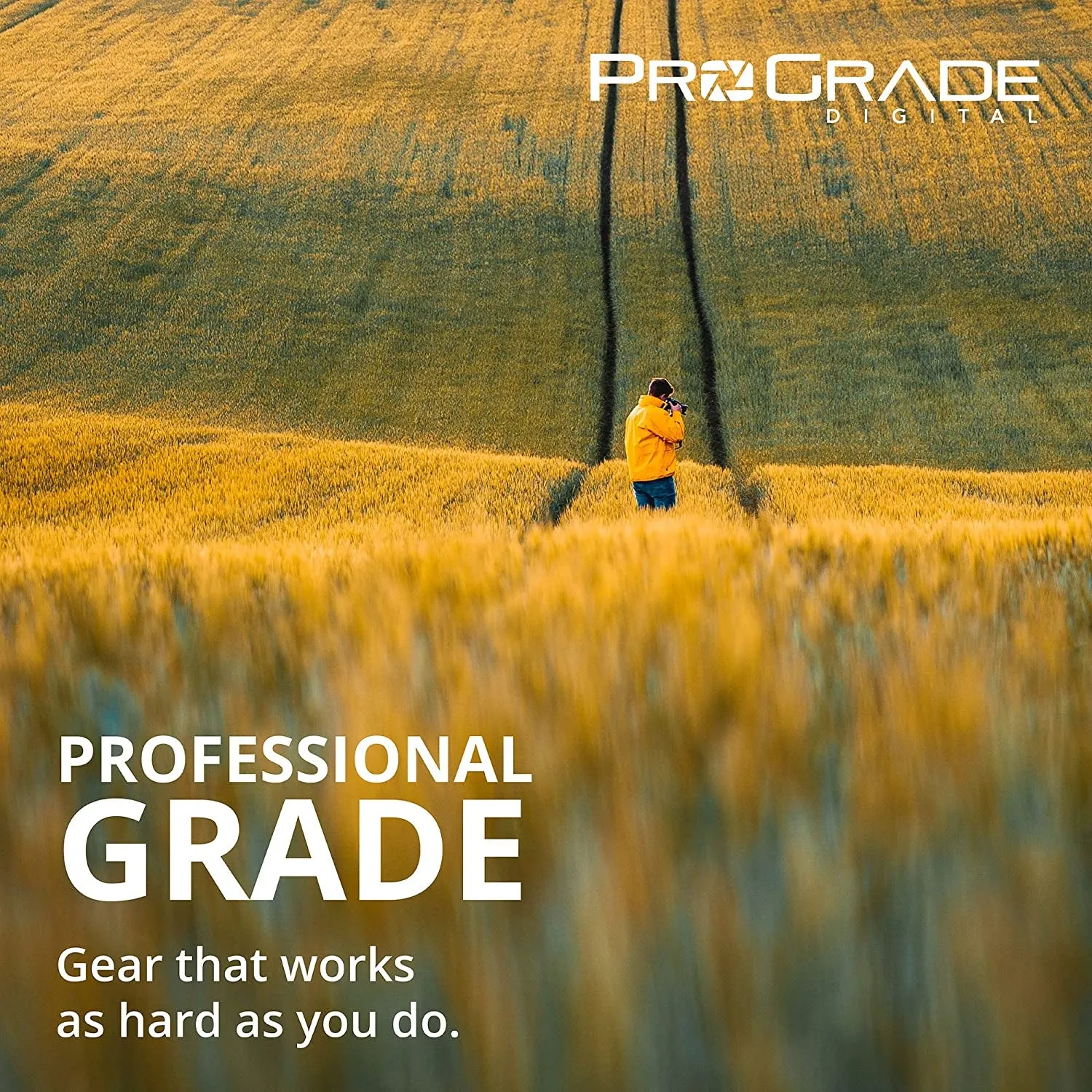 Prograde Digital USB 3.1 Gen 2 Dual-Slot SD Card Reader