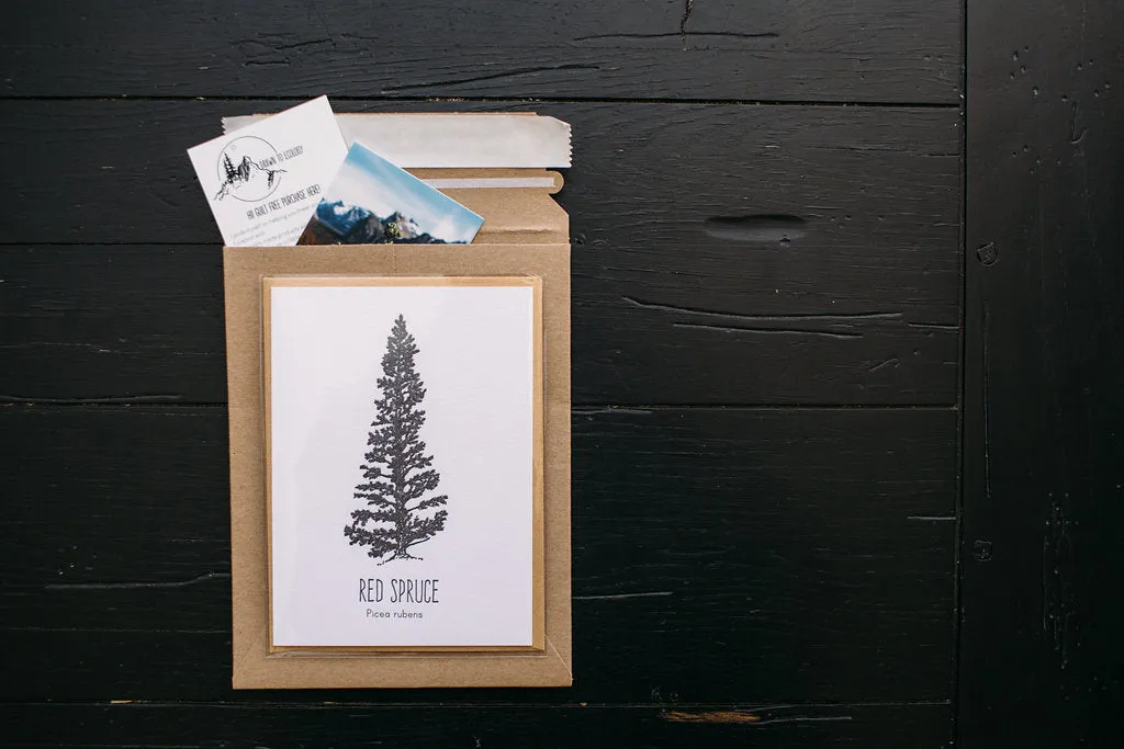 Red Maple Letterpress Card