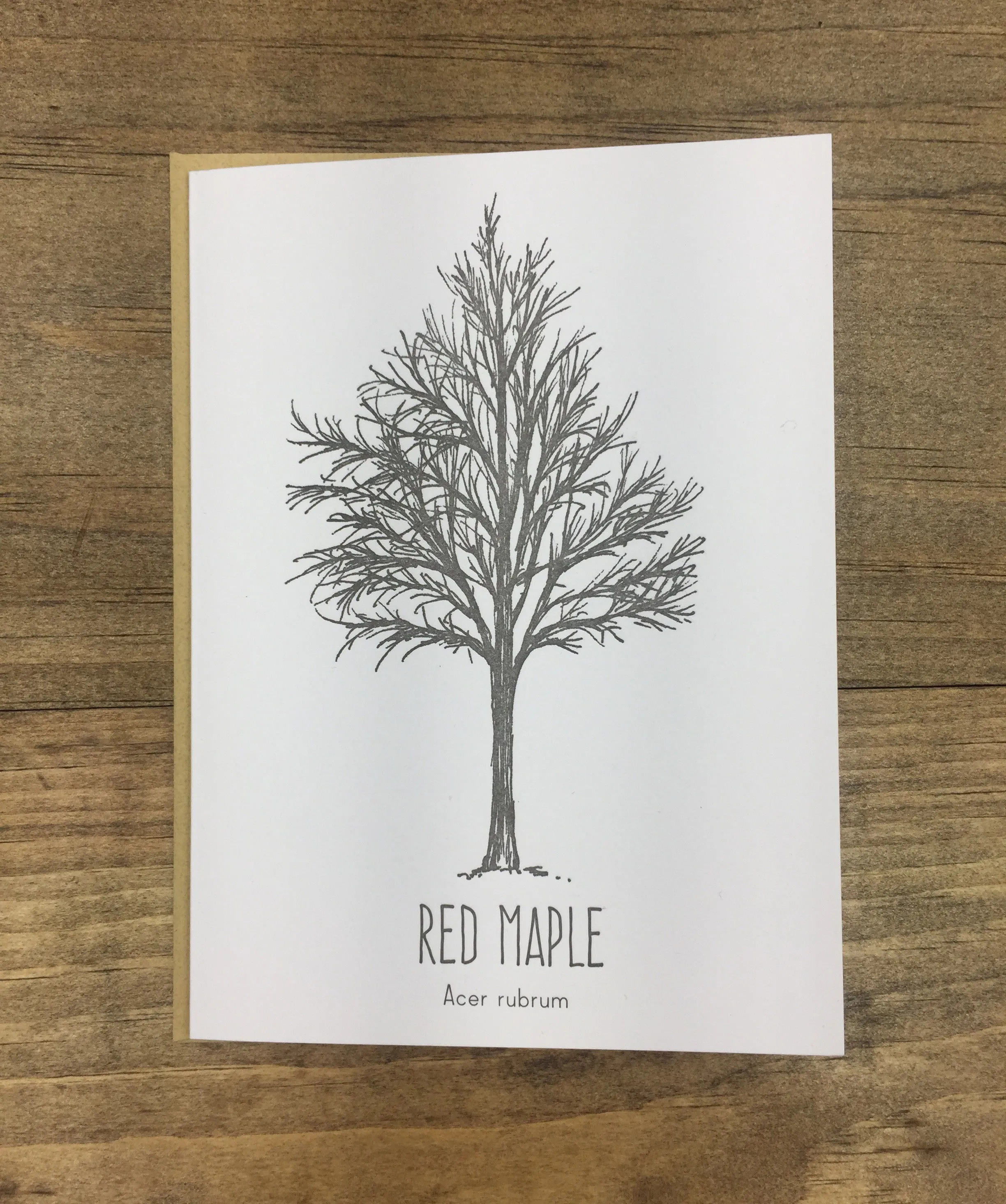 Red Maple Letterpress Card