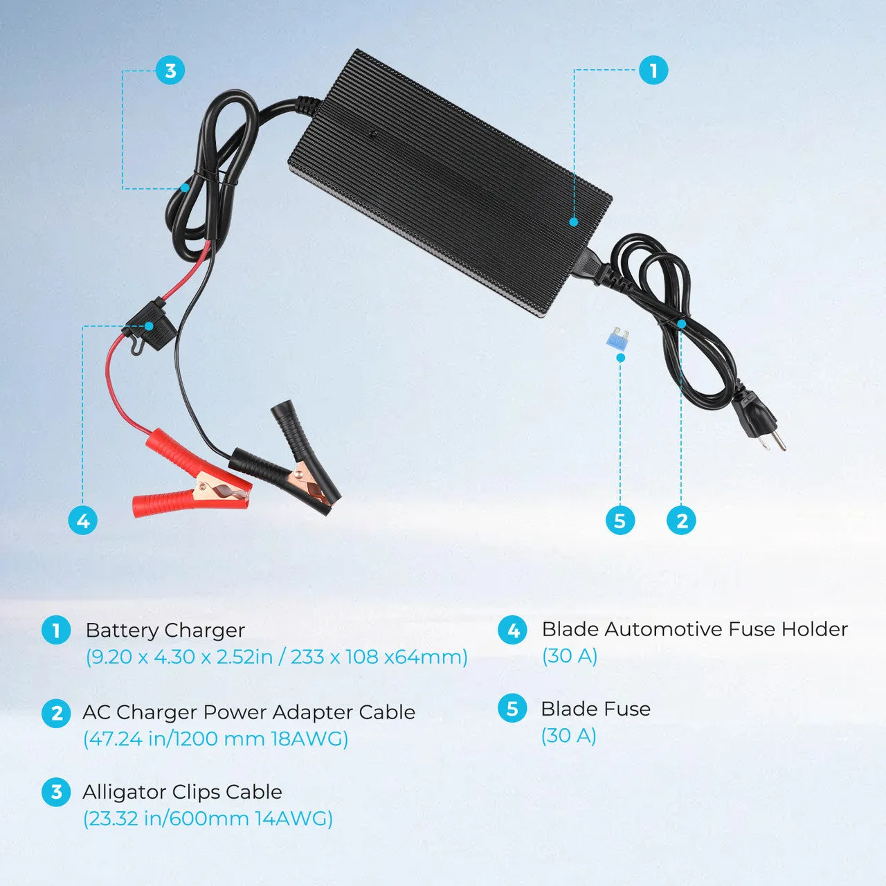 Renogy 20A AC-DC Battery Charger (G2 Version)
