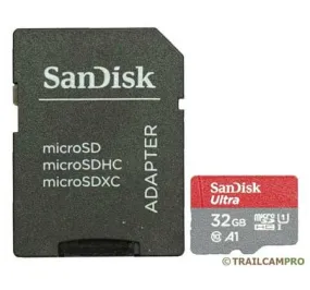 Sandisk 32 Gig Micro SD card
