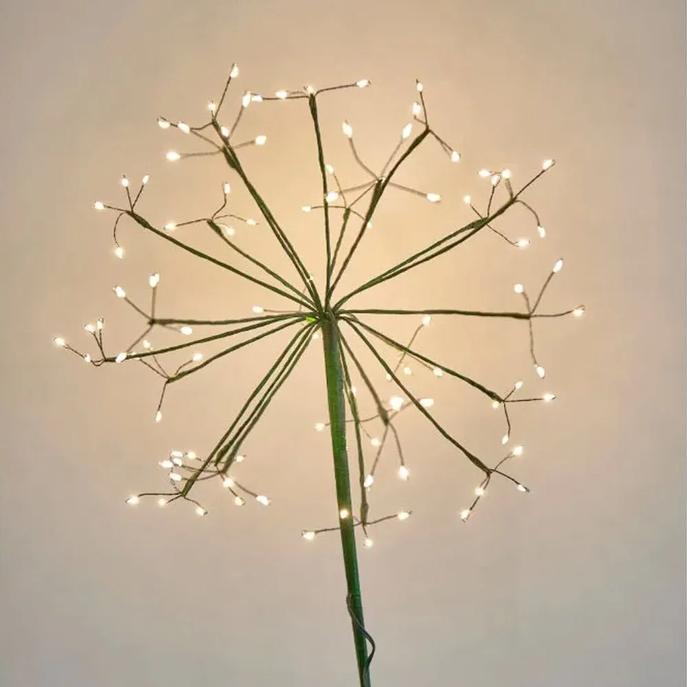 Solar Powered Dandelion Light