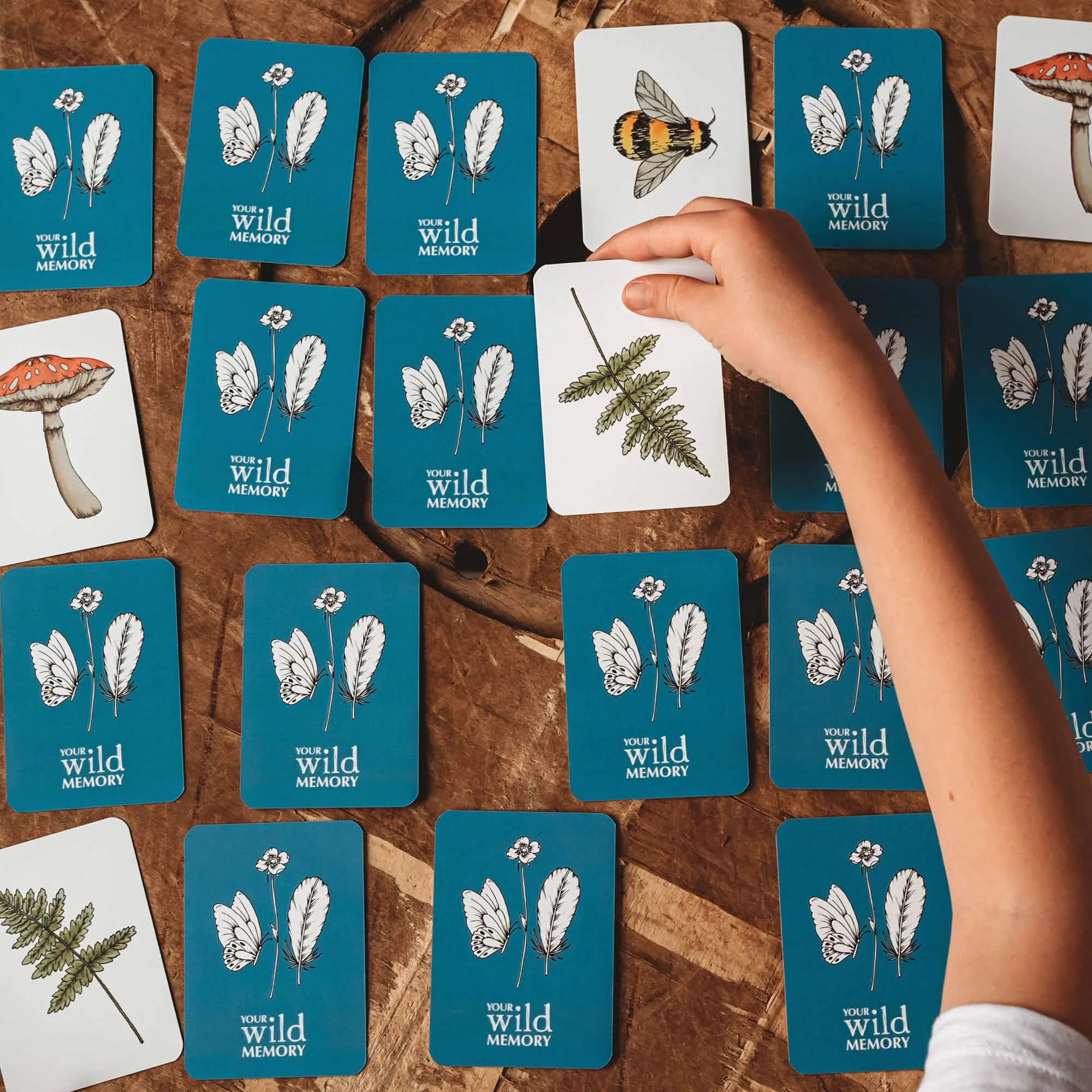 Wild Memory Game Nature Outdoor Travel Toys 3yrs 